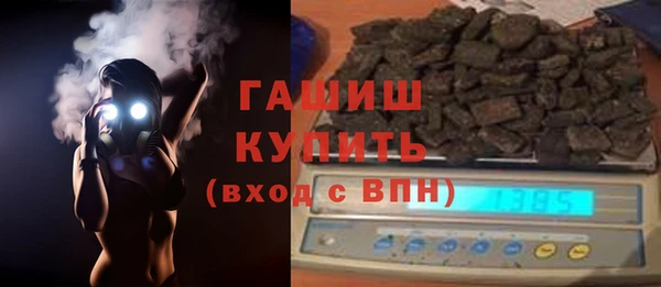 дмт Бородино